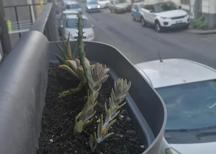 Casa Mariu * Catania